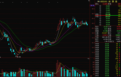 精準解析遠望谷 興辦實業的戰略與前景