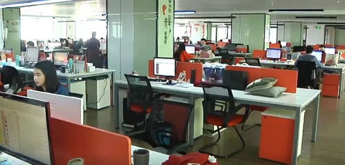 張學龍一行實地調研民營企業，助力創新發展與實業投資